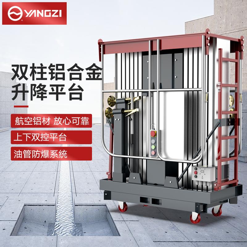 揚子直立式升降機高配雙柱鋁合金YZGS2